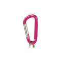 Carabiner Attachement Pink